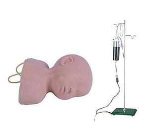 Infant head venipuncture training model